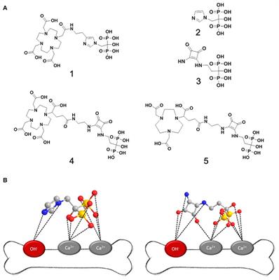Squaric Acid Bisphposphonates for Theranostics of Bone Metastasis – the Easy DOTA-Zoledronate